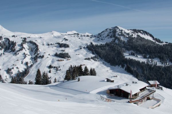 Freitag Frei - ab auf die Piste! Dam&uuml;ls-Mellau